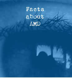 Facts about AMD