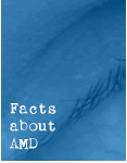 Facts about AMD