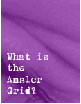 What is the Amsler Grid?